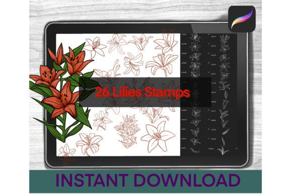 Download Lily Brushes Procreate Stamps - Brushes Collection