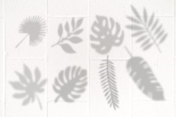 Download Leaf Shadows Procreate Brushes - Brushes Collection