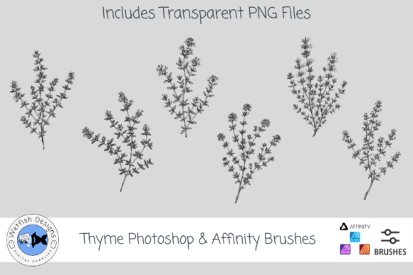 Download Thyme Photoshop &amp; Affinity Brushes - Brushes Collection