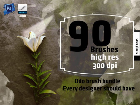 Download Realistic Brushes - Brushes Collection
