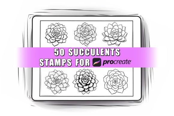 Download Succulent Procreate Stamps Brushes - Brushes Collection