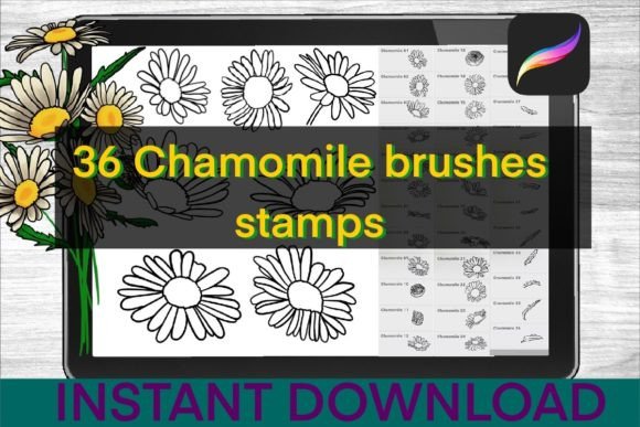 Download Chamomile Brushes Procreate Stamps - Brushes Collection