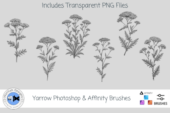 Download Yarrow Photoshop &amp; Affinity Brushes - Brushes Collection