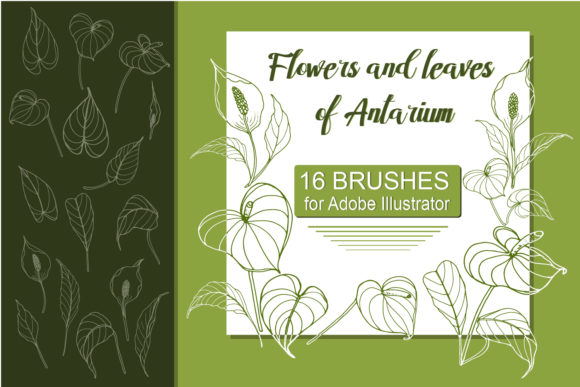 Download Antarium Flowers and Leaves Brushes - Brushes Collection