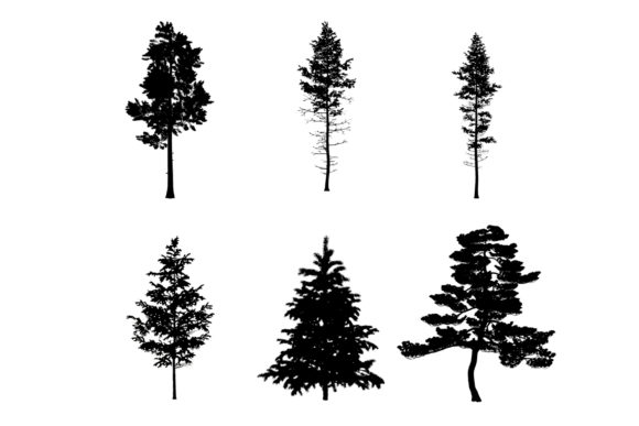 Download 6 Pine Tree Photoshop Brushes - Brushes Collection