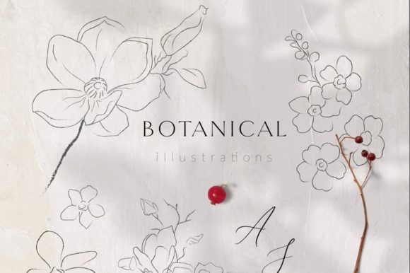 Download Line Drawing Botanicals, Plants. Brushes - Brushes Collection